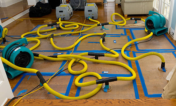 Professional Crawl Space Water Removal technician working in Winnebago, MN